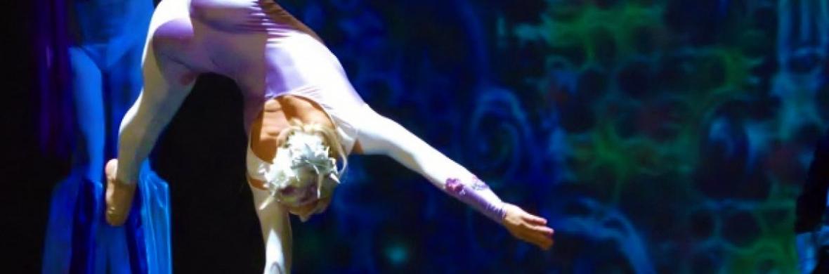 HandBalancing Act  - Performing Arts Acts - StageLync